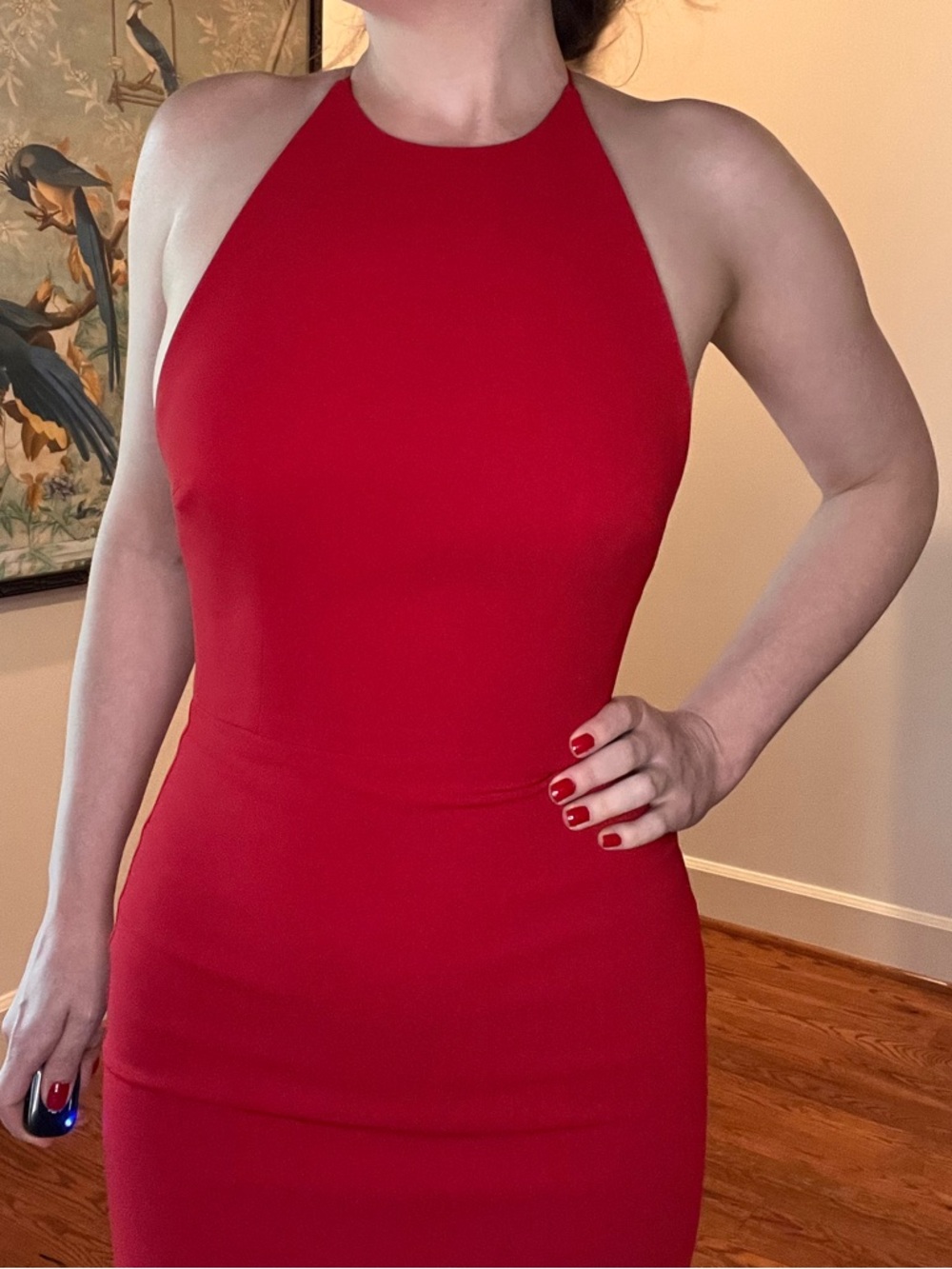 Alex Perry Red Dress - Picture 12 of 16